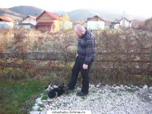 altii pe jos... 
roburul  si catelul gadilicios chef avrig